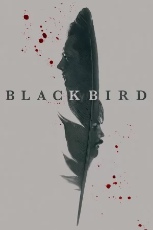 Чёрная птица 1 сезон